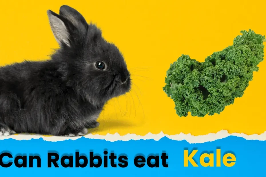 Can Rabbits Eat Kale? Benefits and Risks Explained