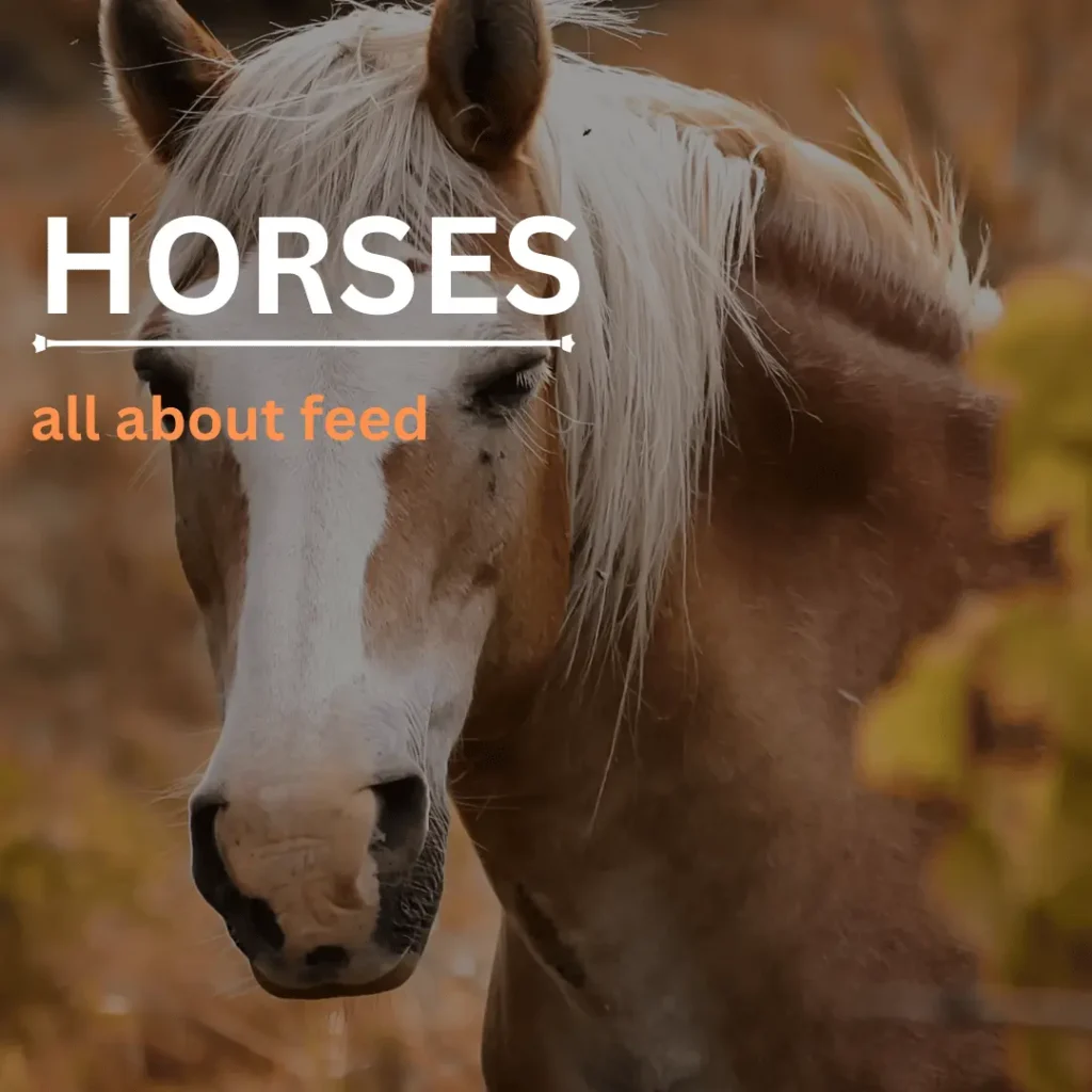 Horses