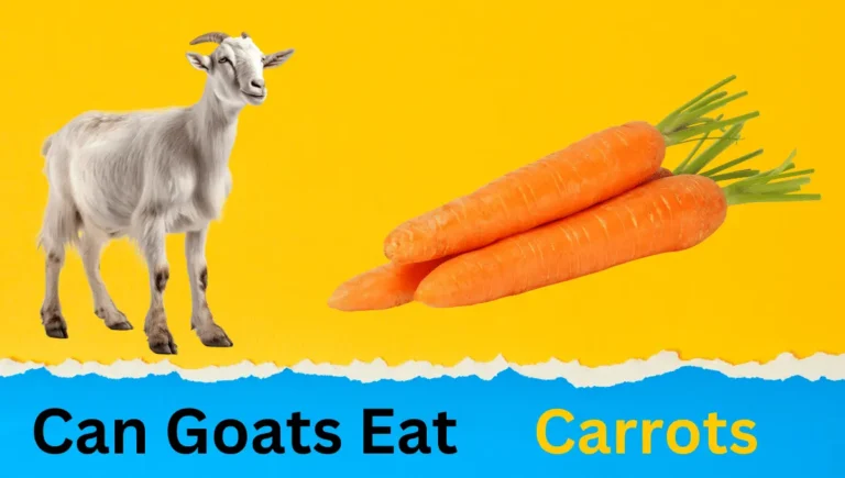 Can Goats Eat Carrots? Safe Treats for Your Furry Friends