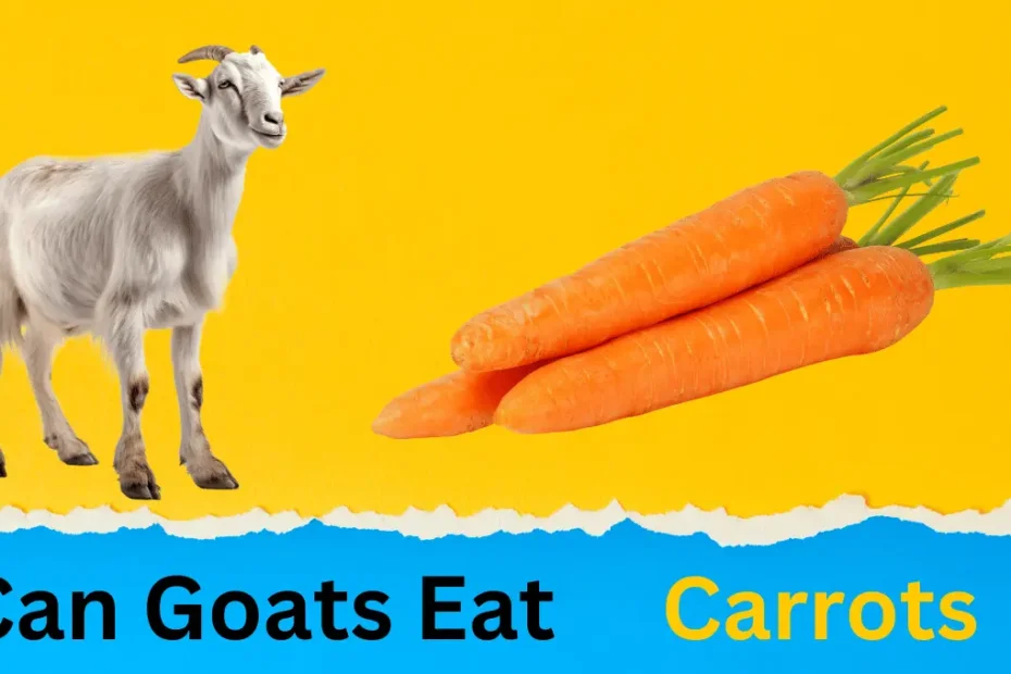 Can Goats Eat Carrots? Safe Treats for Your Furry Friends